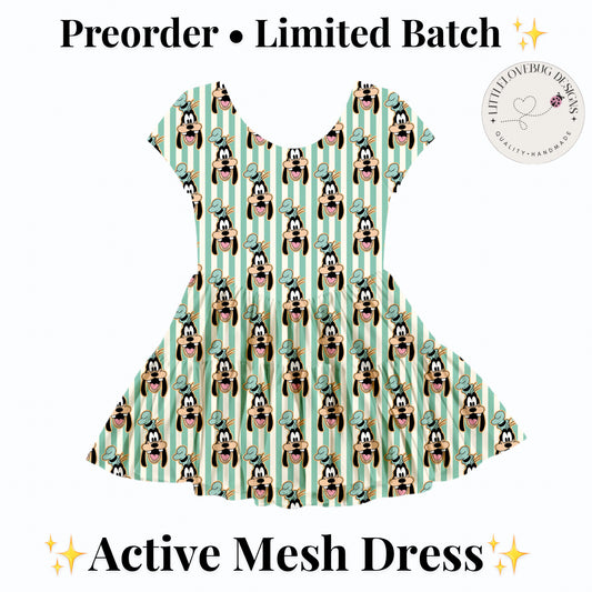 Preorder Goofy Active Mesh Dress with Separate Shorts
