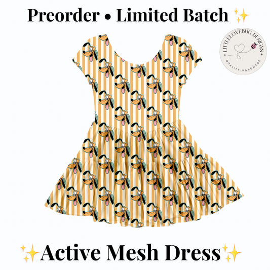 Preorder Pluto Active Mesh Dress with Separate Shorts
