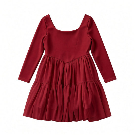 Burgundy solid long sleeve mesh twirl dress